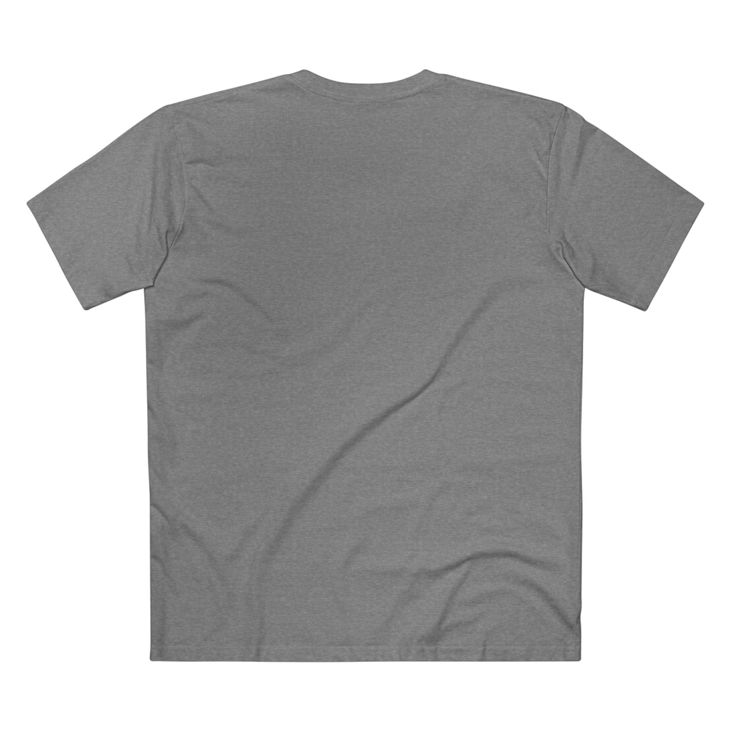 Born in the USA T-Shirt — Vintage Patriotic Adult Staple Tee